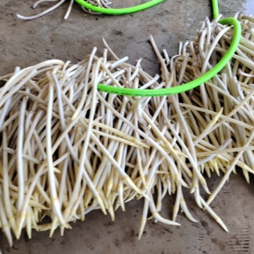 湖北莲藕藕带规格全对接电商市场商超可视频看货