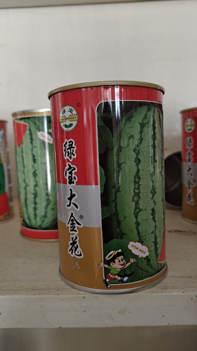 西瓜苗