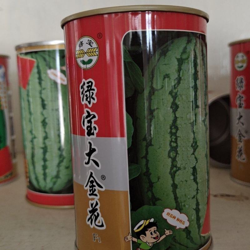 西瓜苗