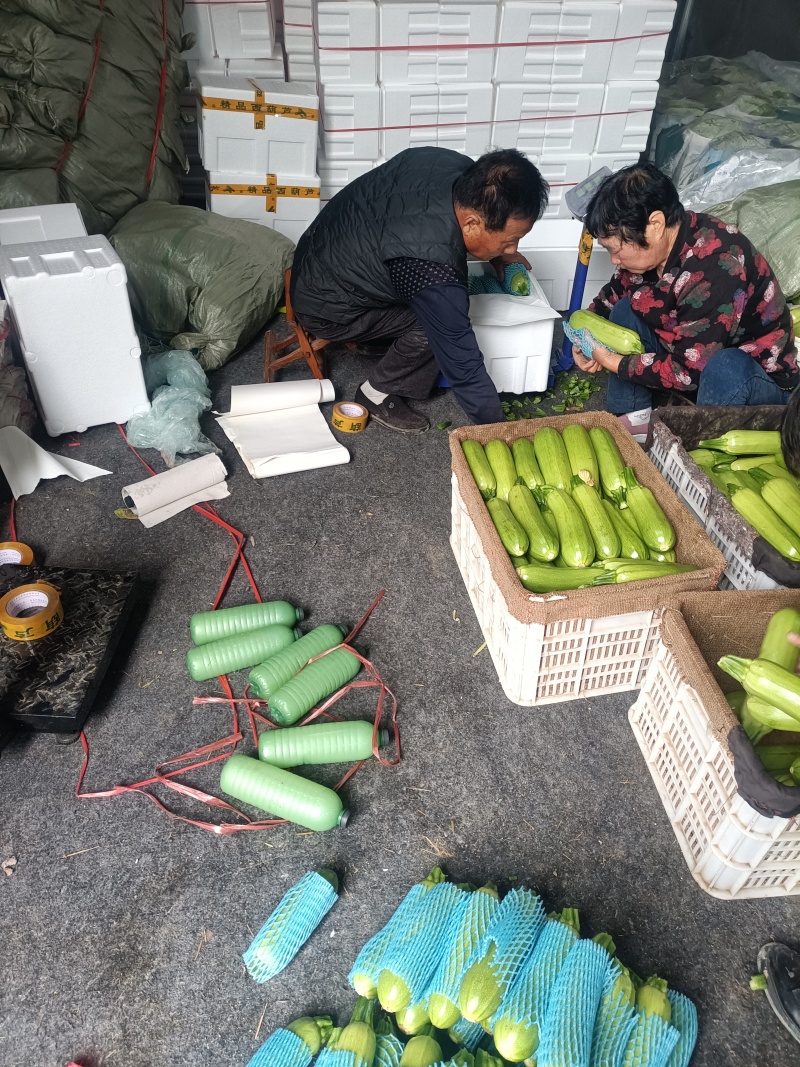 西葫芦，绞瓜