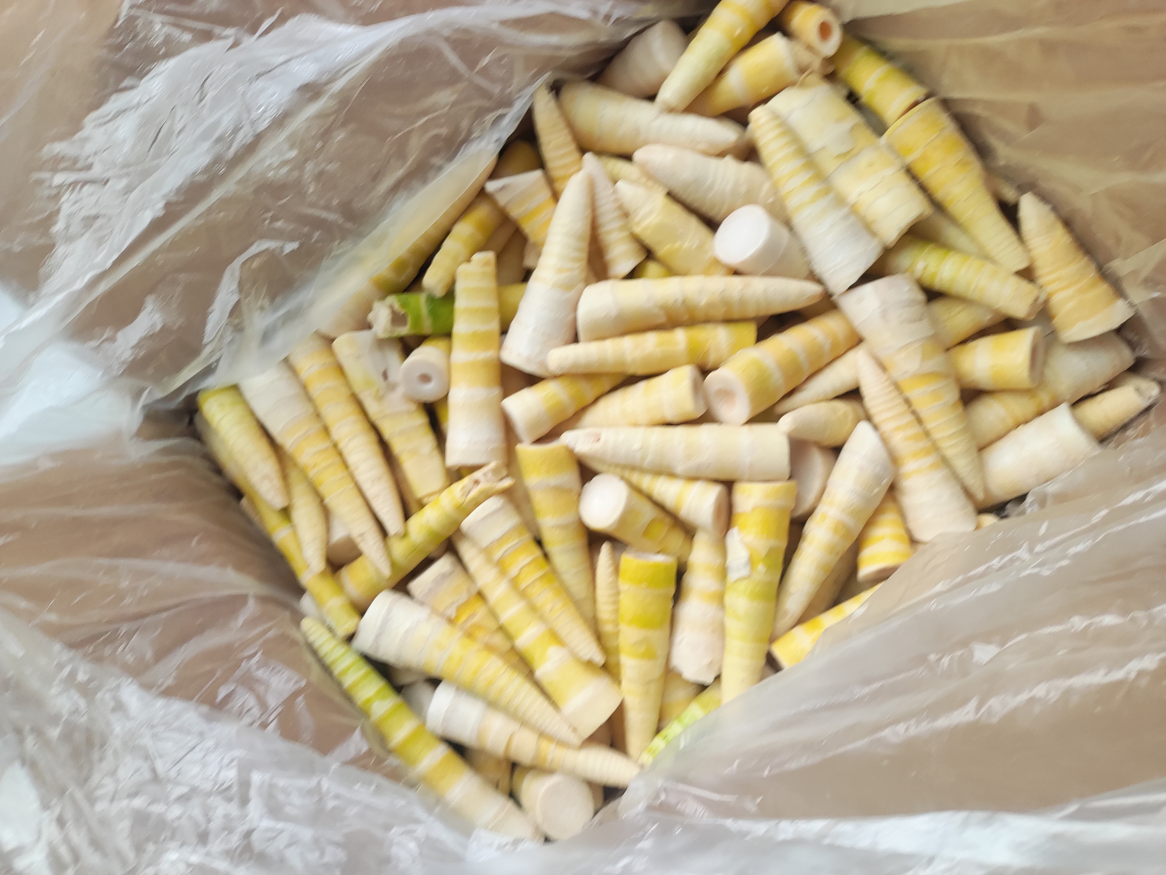 一口不锈钢锅中正在焯水的雷竹笋,水已微沸,笋片呈半透明状漂浮,锅边放有生姜片和一瓶白醋,灶台整洁,光线明亮 雷笋焯水过程图