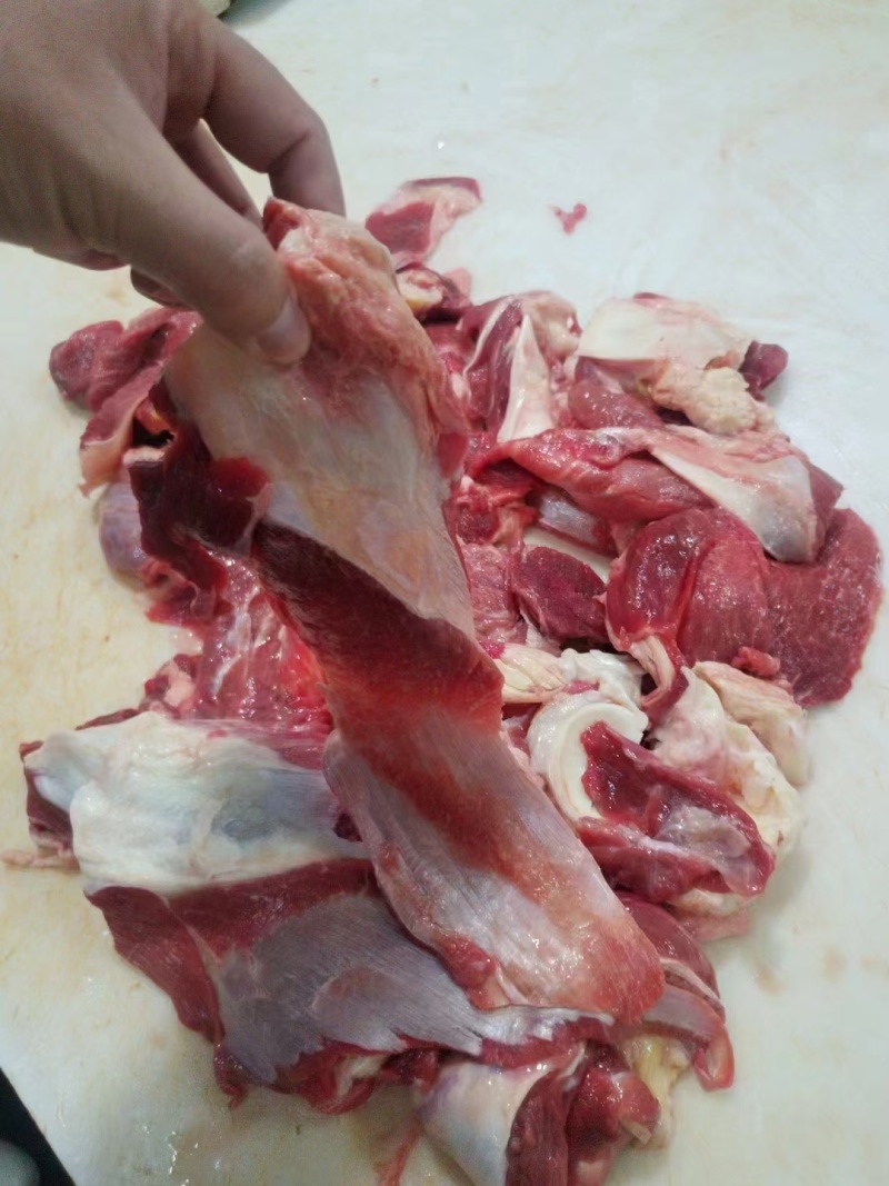 牛肉筋