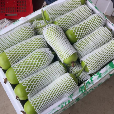 葫芦大量上市中产地直供品质保证一手货源诚信经营