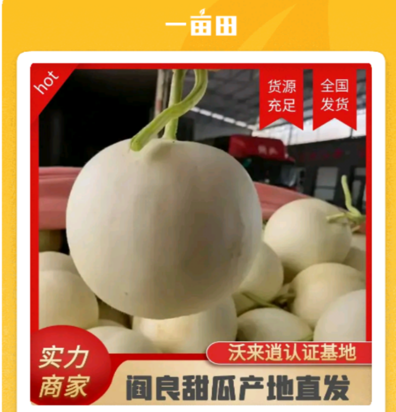 阎良甜瓜优质甜瓜超甜产地直发小白瓜小白甜瓜