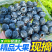 一件代发优质蓝莓原产地直发，新鲜采摘，现摘现发