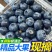一件代发优质蓝莓原产地直发，新鲜采摘，现摘现发