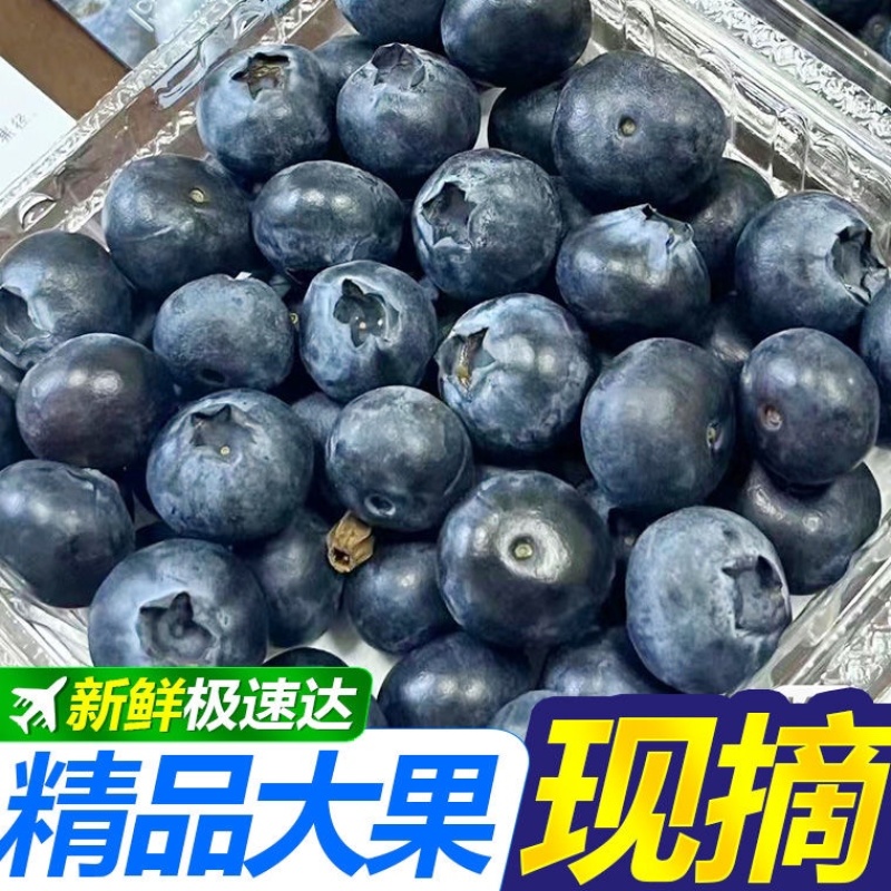 一件代发优质蓝莓原产地直发，新鲜采摘，现摘现发