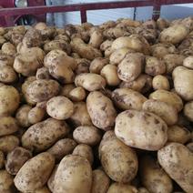 新鲜土豆，产地直供，按需分捡，品质保证产地一手货源。