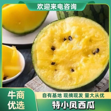 实力特小凤西瓜江苏产地直发量大从优，质量保证9成熟头茬