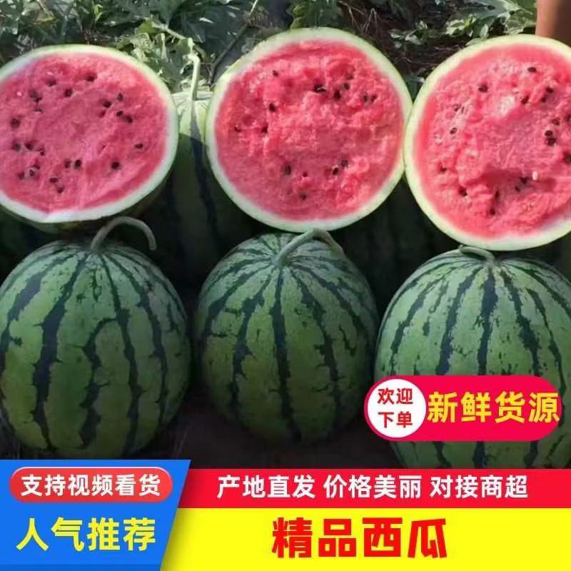 精品小糖丸西瓜2k西瓜产地直发货源人气推荐欢迎电话联系
