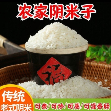 农家阴米产地直供价格优惠保质保量货源充足