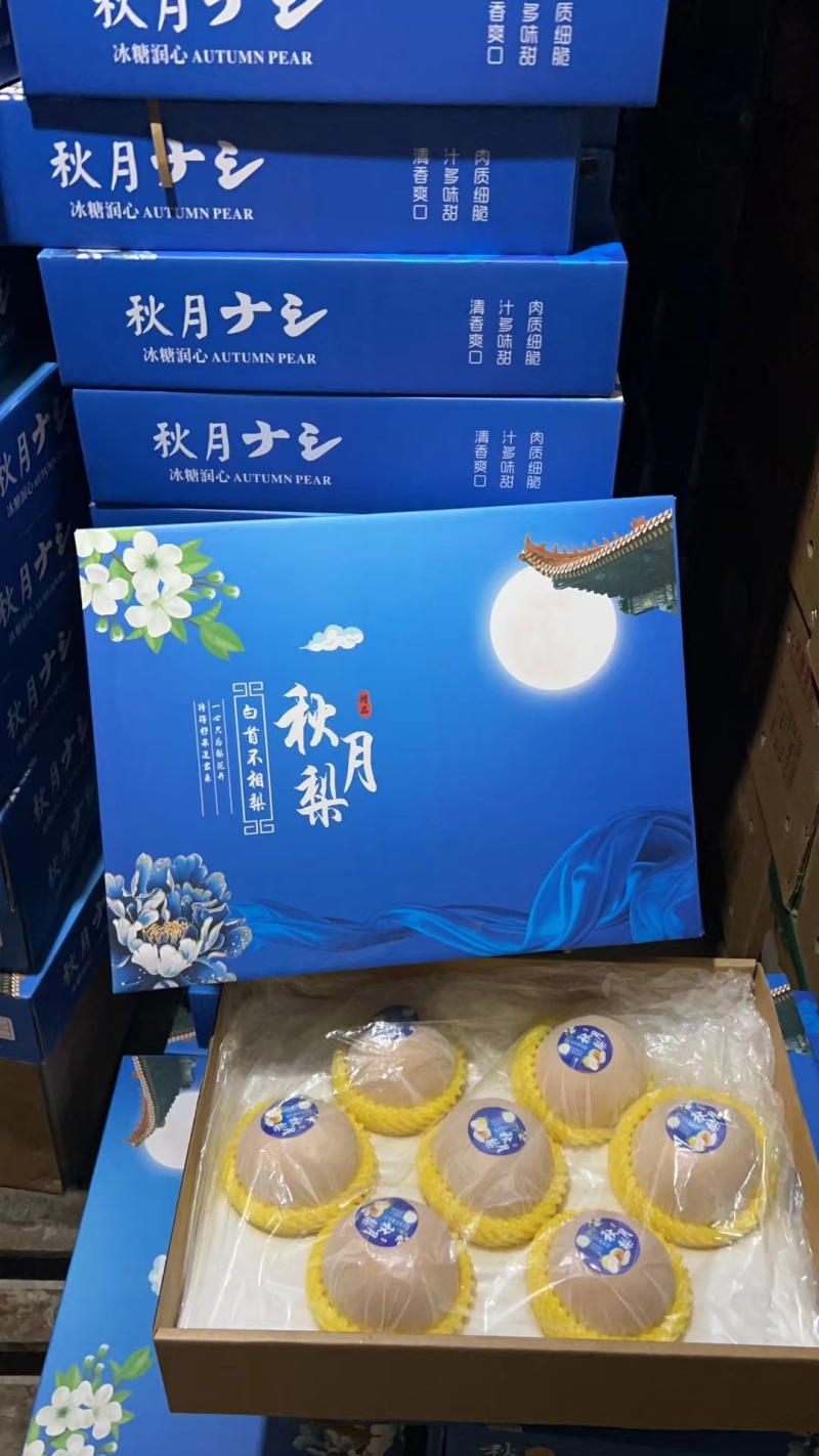 爆汁秋月梨大量供应产地直发馆陶县众康果品市场