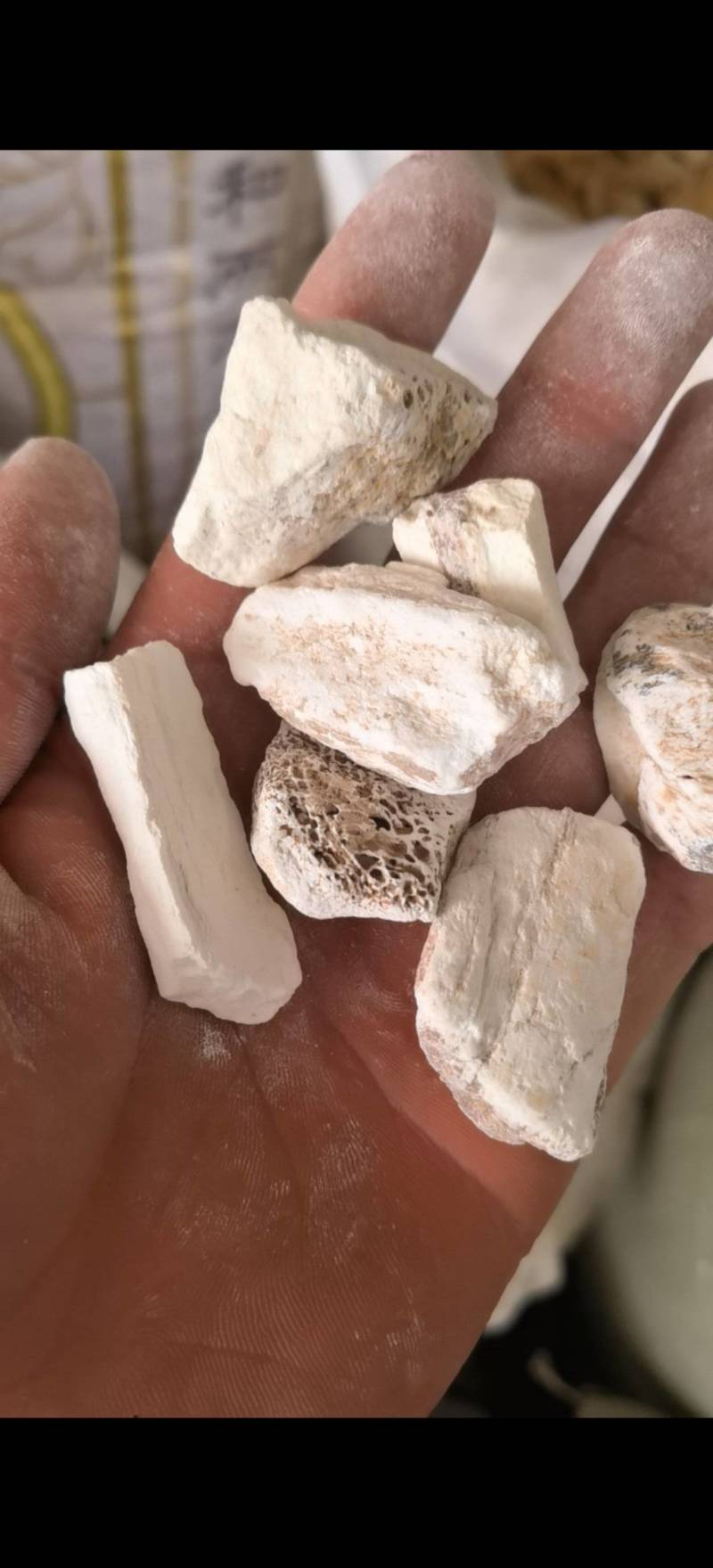 龙骨，水洗甘肃龙骨，吸舌，腿骨，关书药材