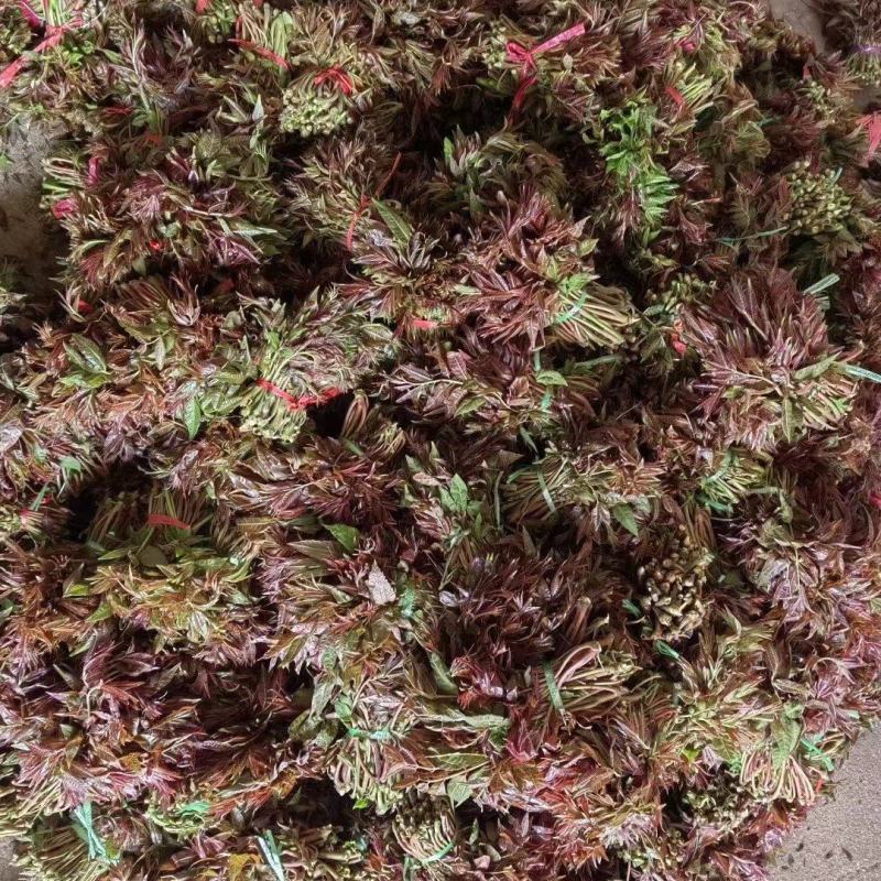 露天精品二茬上市，需要的老板速度来搞！价格优惠！合作共赢