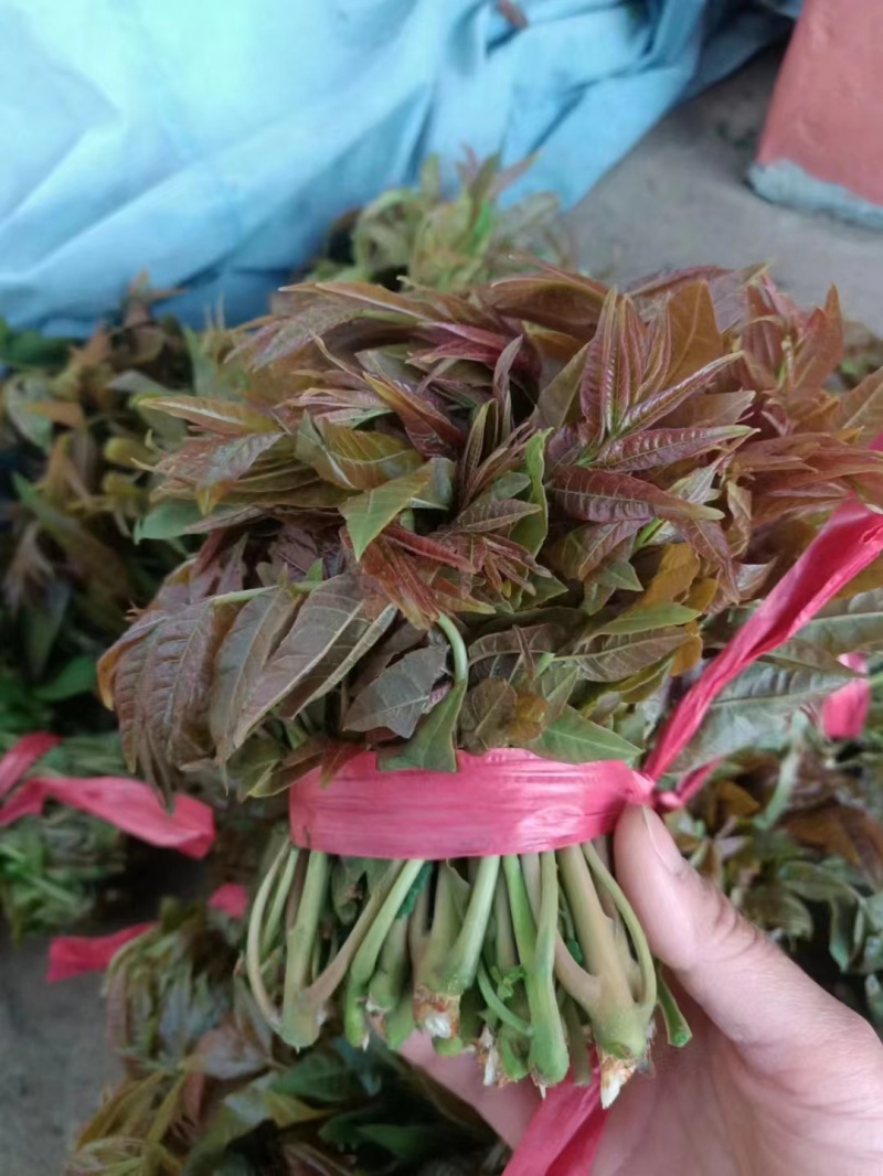 露天精品二茬上市，需要的老板速度来搞！价格优惠！合作共赢