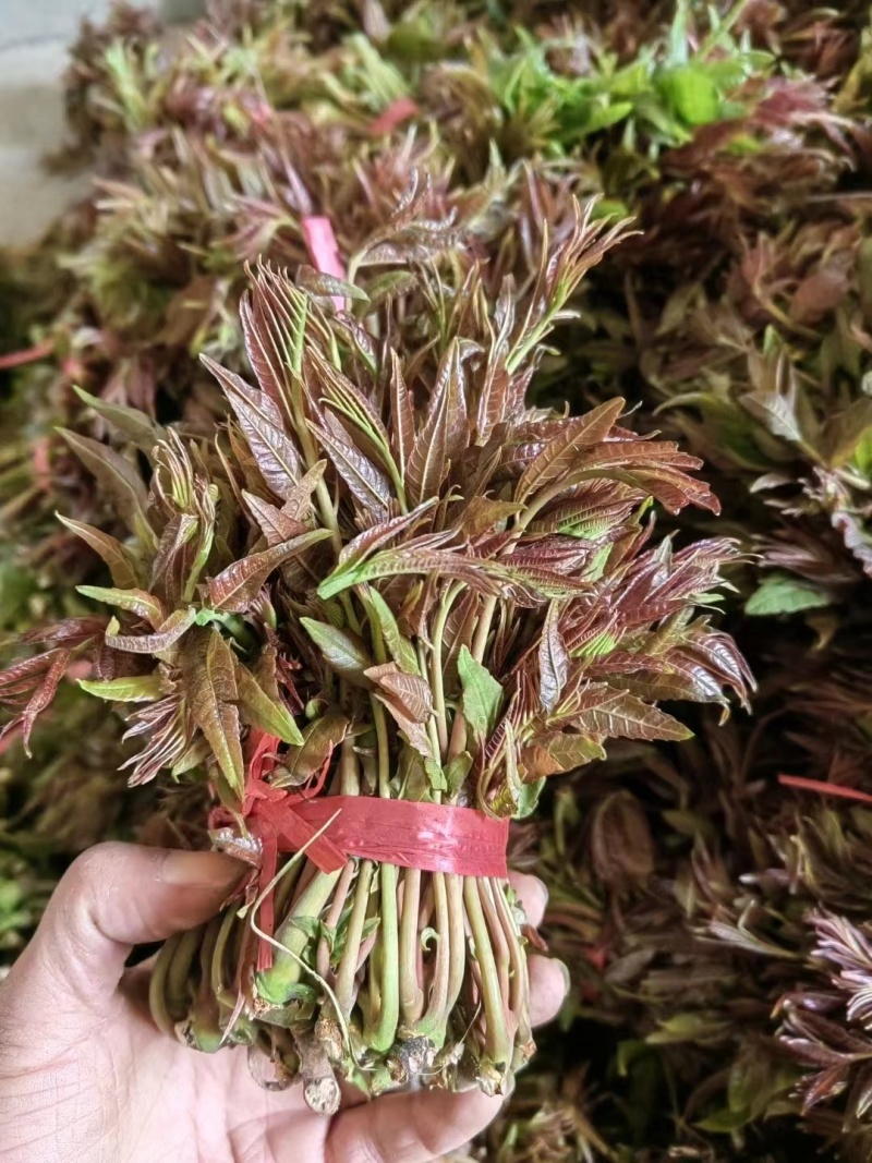 露天精品二茬上市，需要的老板速度来搞！价格优惠！合作共赢