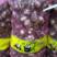 紫皮大蒜蒜头5厘米以上鲜蒜大量供应产地一手货源全国发货