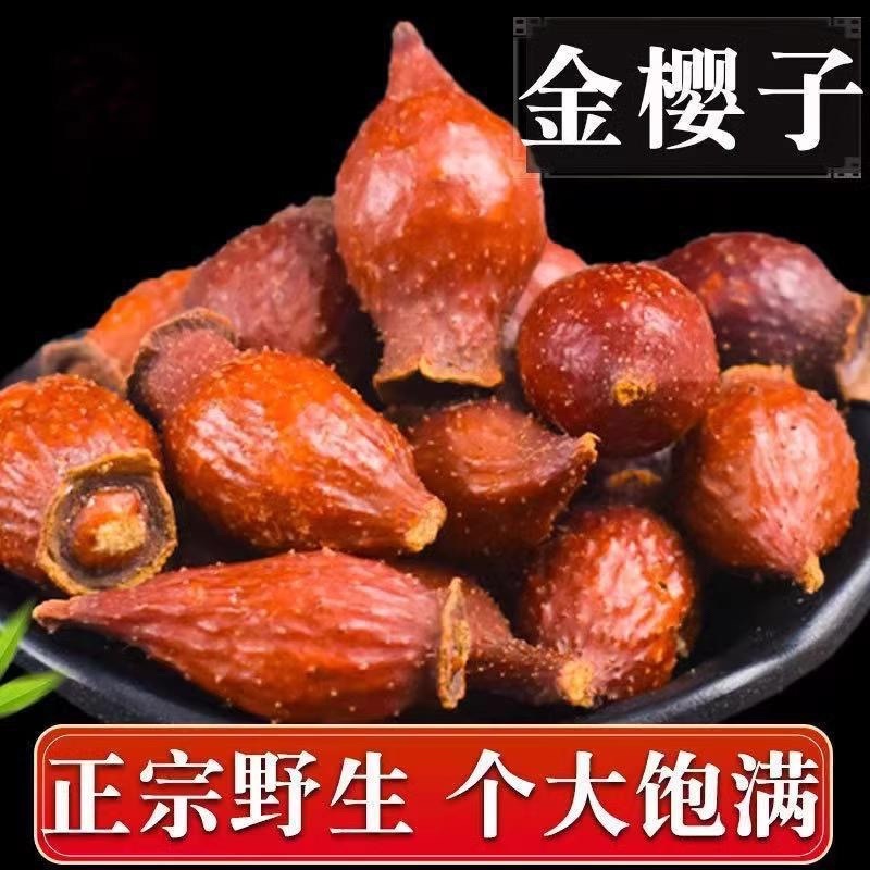优质金樱子后期大果品质好一手货源欢迎咨询