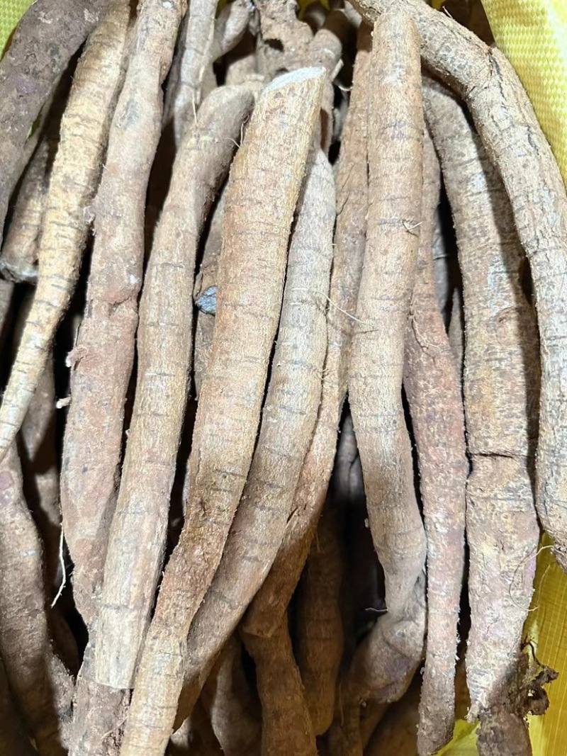 工厂常年供应各种牛大力规格，大牛，中牛，小牛，大次牛等。