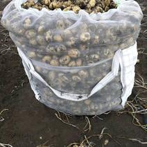 土豆透气吨袋马铃薯网状吨包