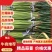 精品蒜苔红帽蒜薹诚信经营质量保证常年供应电商