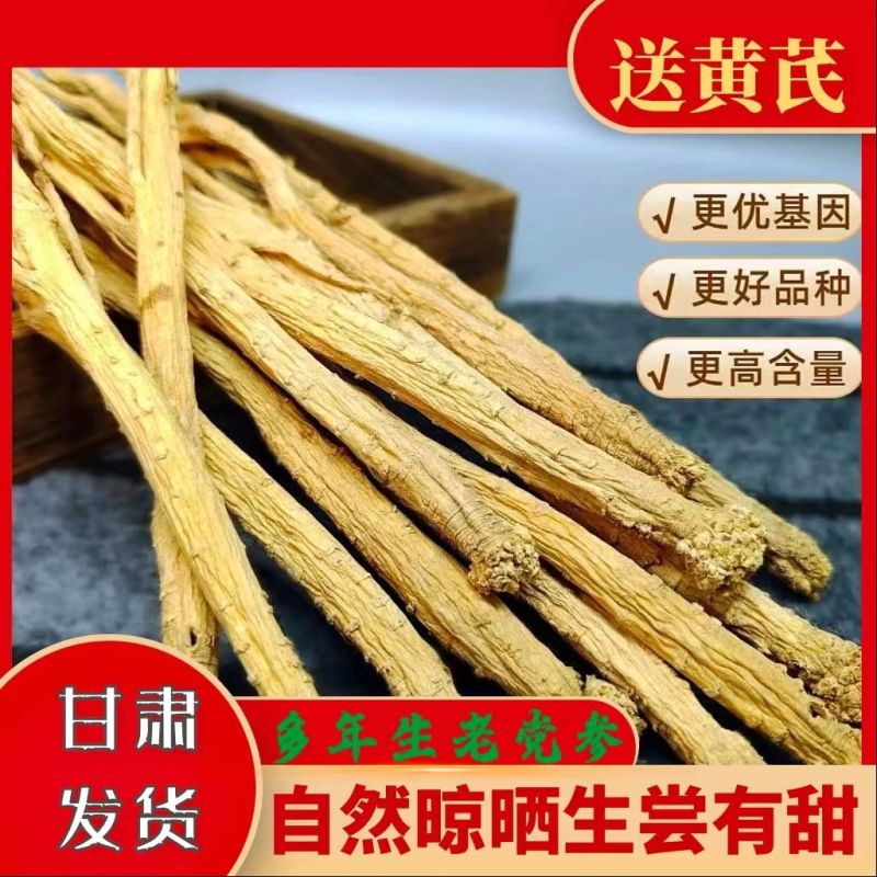 甘肃直发正品大条党参党参正品白条党参煲汤泡水配料中药材