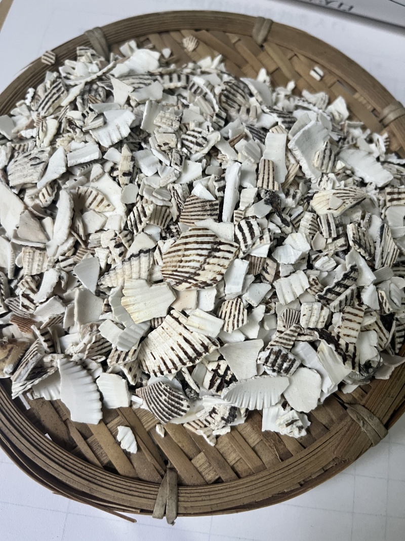 瓦楞子中药材矿石大全水洗生贝壳毛钳克中药材批发大全
