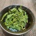 富硒口粮茶雨前茶浓香耐泡批发零售