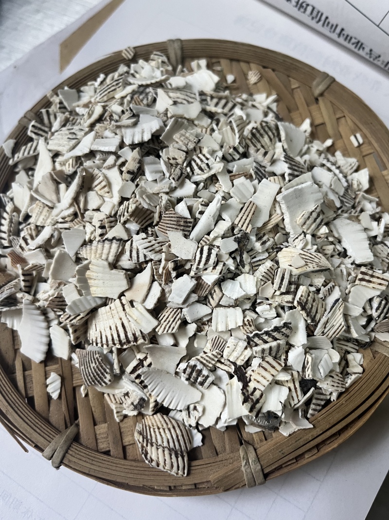 瓦楞子中药材矿石大全水洗生贝壳毛钳克中药材批发大全