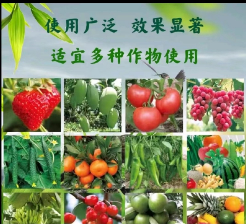 黄腐酸钾微生物菌剂有机质45%生物有机菌肥厂家直销
