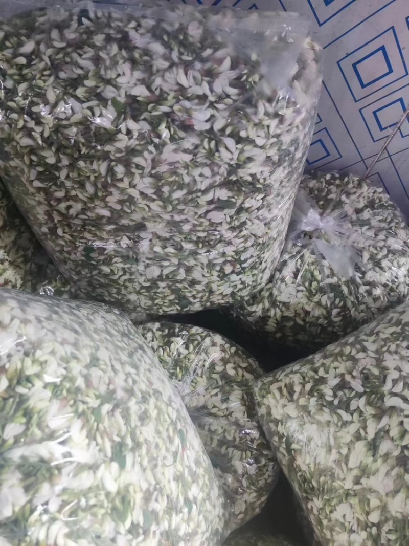 精品野槐花落价了，有量的来