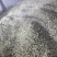 精品野槐花落价了，有量的来