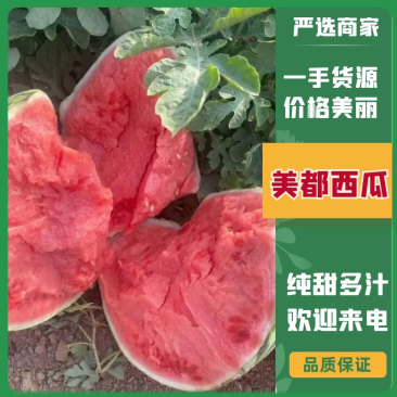 江苏西瓜/美都西瓜/精品美都纯甜多汁基地直供欢迎致电