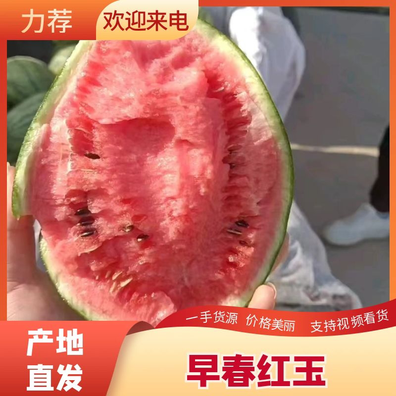 【推荐】江苏精品西瓜早春红玉冰淇淋小糖丸欢迎电联