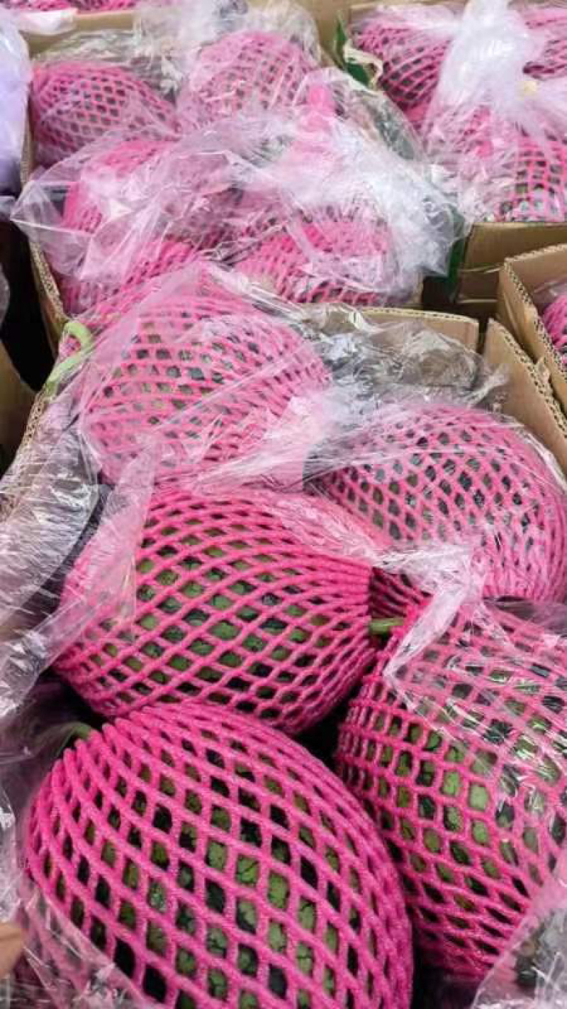 【推荐】江苏精品西瓜早春红玉冰淇淋小糖丸欢迎电联