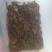 鲜活蜈蚣