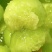 玉菇瓜大量上市主做电商货，量大从优品质保证全国发货