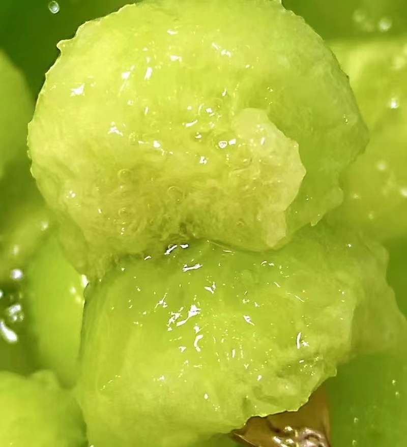 玉菇瓜大量上市主做电商货，量大从优品质保证全国发货