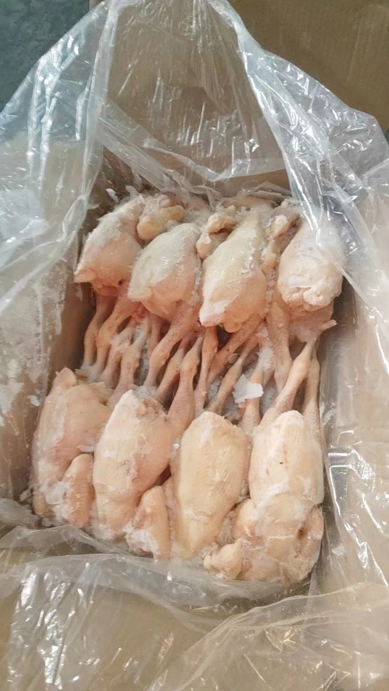 一级三黄鸡5/67只，纯干货，全净膛，价格便宜，诚信经营
