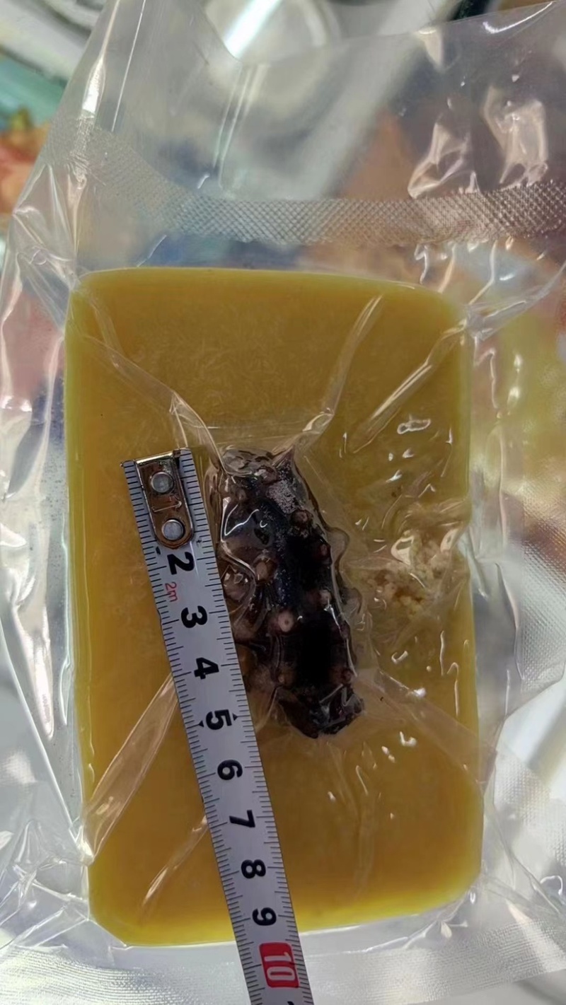 小米辽参200g定制款，价格真实规格多样化