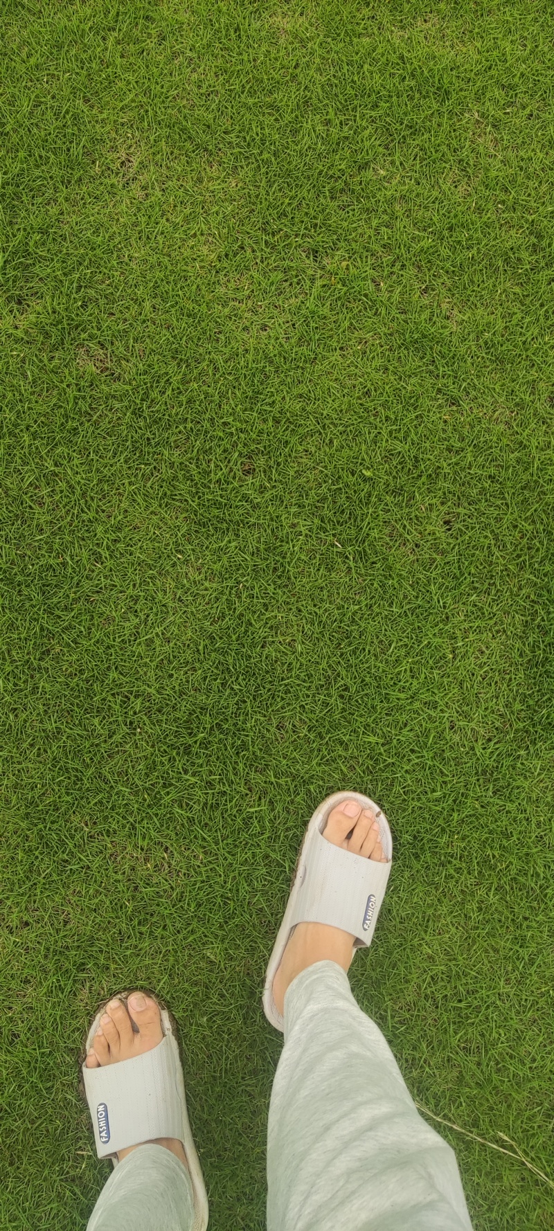 精品黑土马尼拉