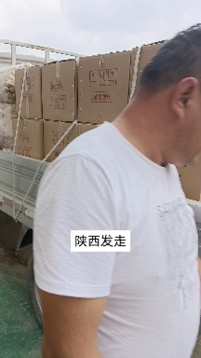 馓子质量保障，独立包装，全国发货色香味佳