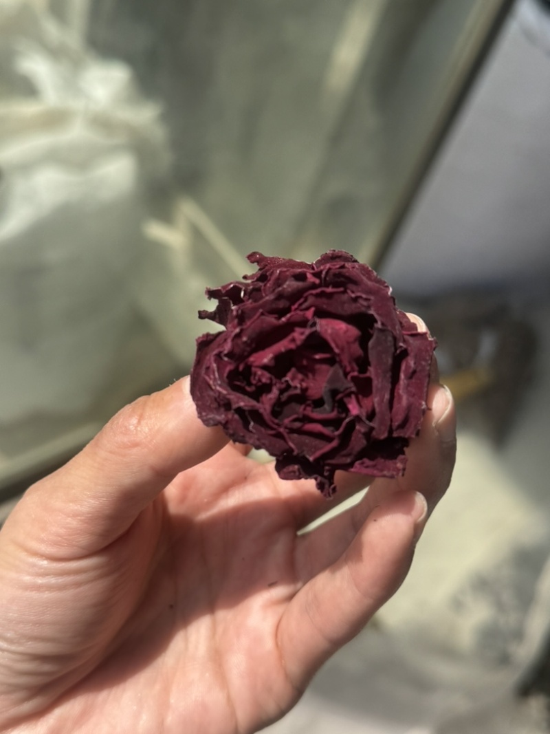 墨红玫瑰干货云南玫瑰花冠实拍烤干