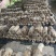 废菌包蔬菜苗果树苗专用肥土有机肥辅料改善土地板结