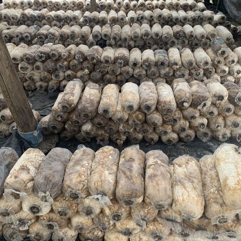 废菌包蔬菜苗果树苗专用肥土有机肥辅料改善土地板结