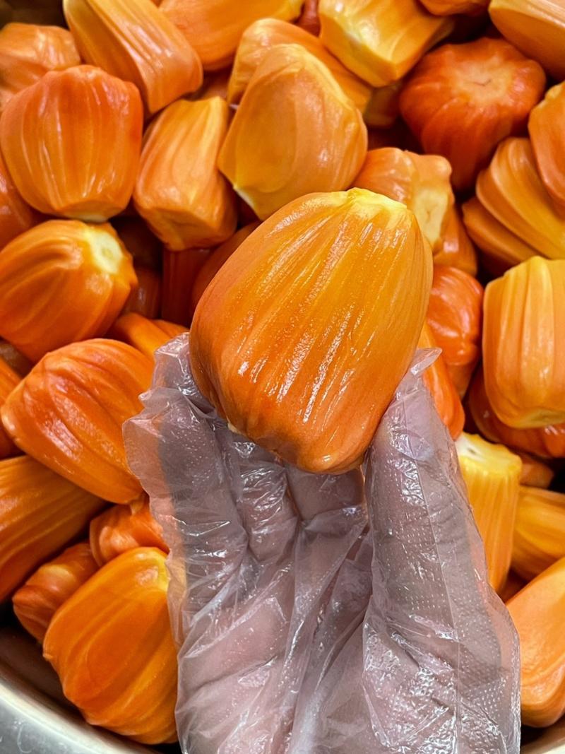 【热卖中】精品泰国红肉八号菠萝蜜一手货源专业包装欢迎考察