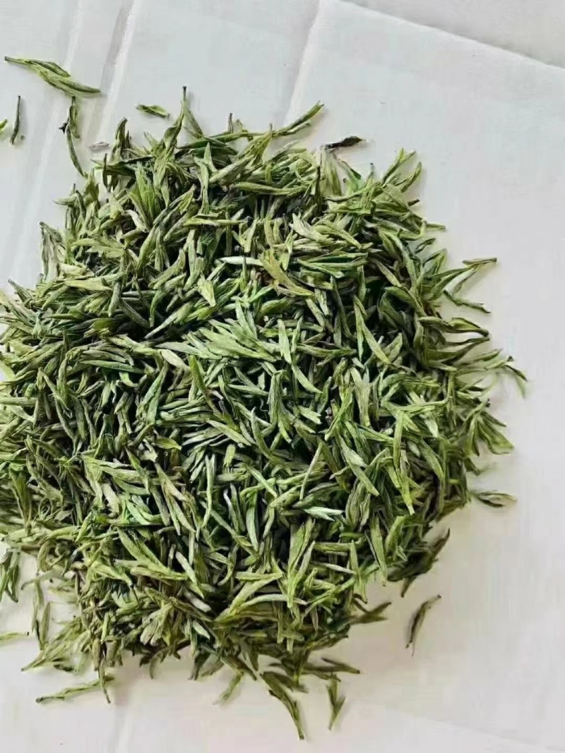 舒城小兰花茶叶