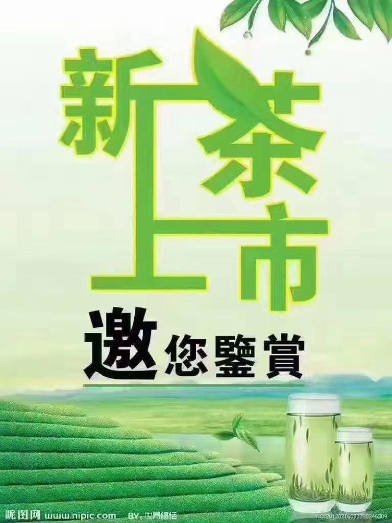 舒城小兰花茶叶