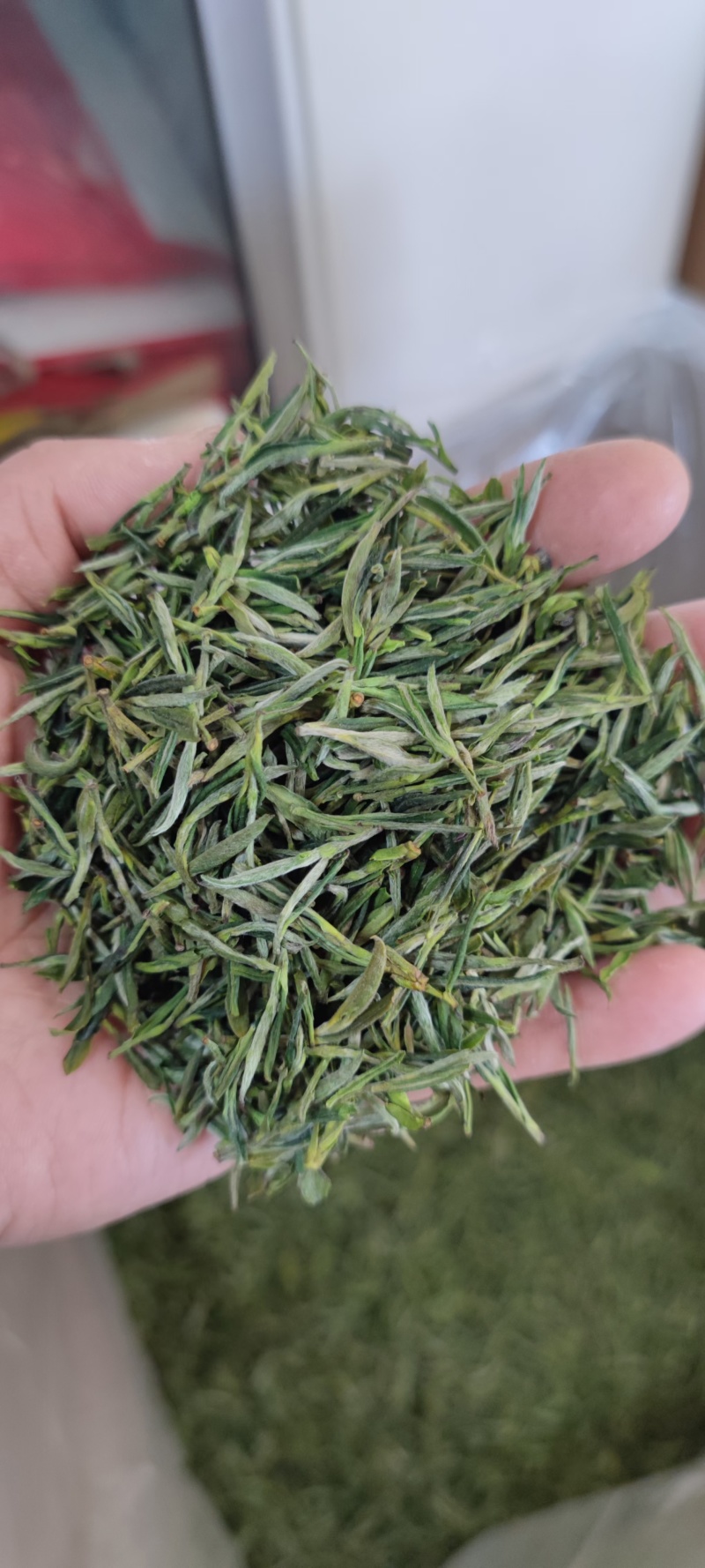 舒城小兰花茶叶