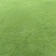 绿化草皮